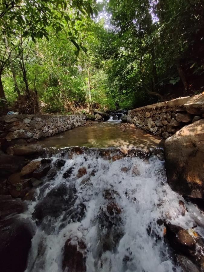 Forest And River Edge Resort Каннур Экстерьер фото