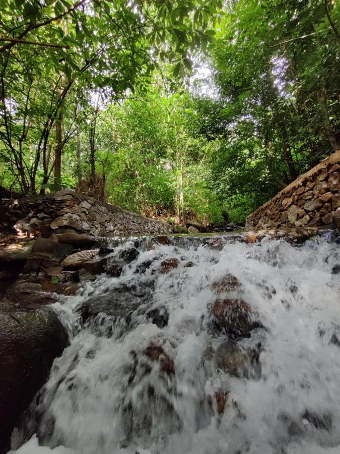 Forest And River Edge Resort Каннур Экстерьер фото