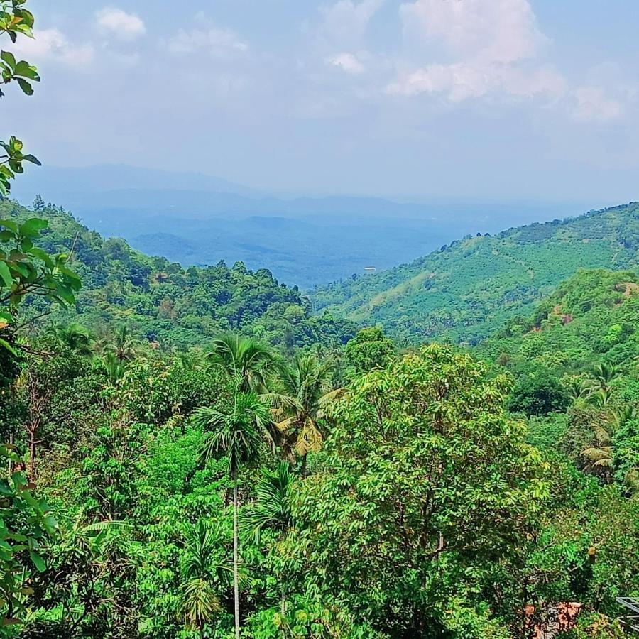 Forest And River Edge Resort Каннур Экстерьер фото